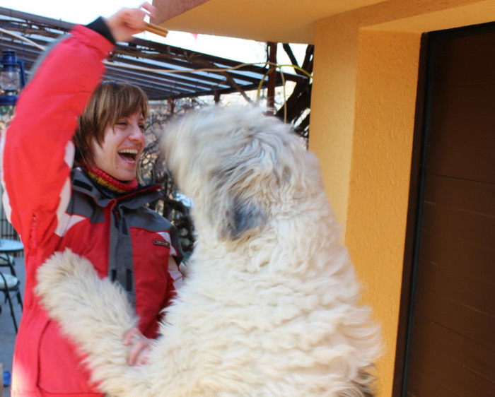 ziua a-III -A 030 - o noua membra a familiei-MARA-CIOBANESC MIORITIC