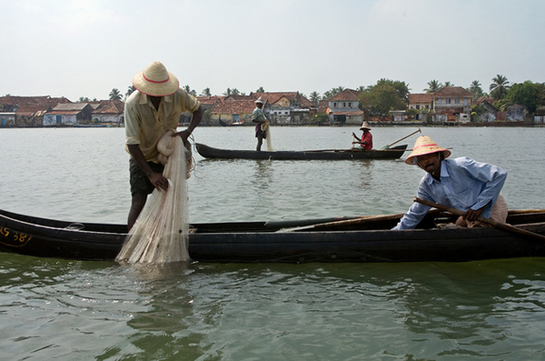 kochi-fishermen