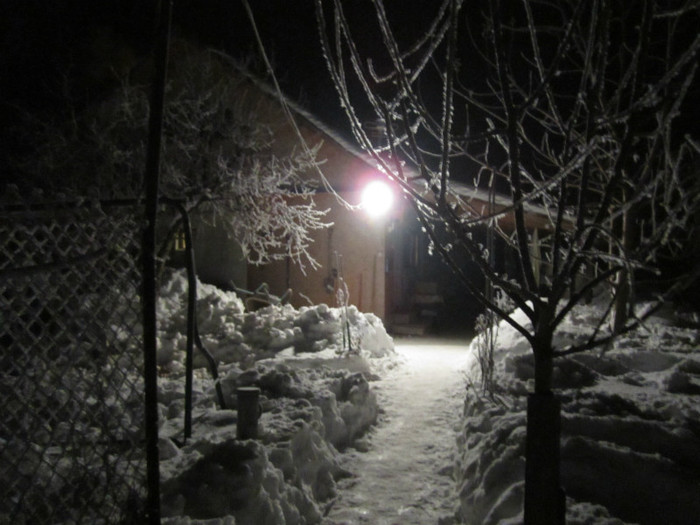 IMG_1350 - iarna pe ulita - februarie 2012