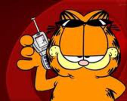 Garfield - 10 zile cu garfield