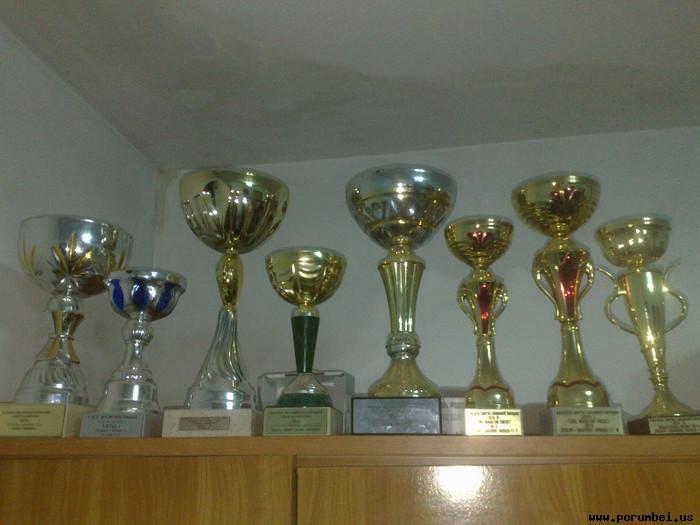 cupe  , anii 2010 -2012 - REZULTATE 2012