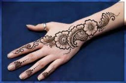 599910_111591962320865_2038504937_n - Mehndi-Desene cu henna
