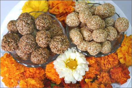 526983_483900411638496_1565746192_n - Makar Sankranti