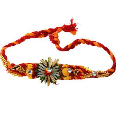 576009_483951741633363_989661477_n - Raksha Bandhan