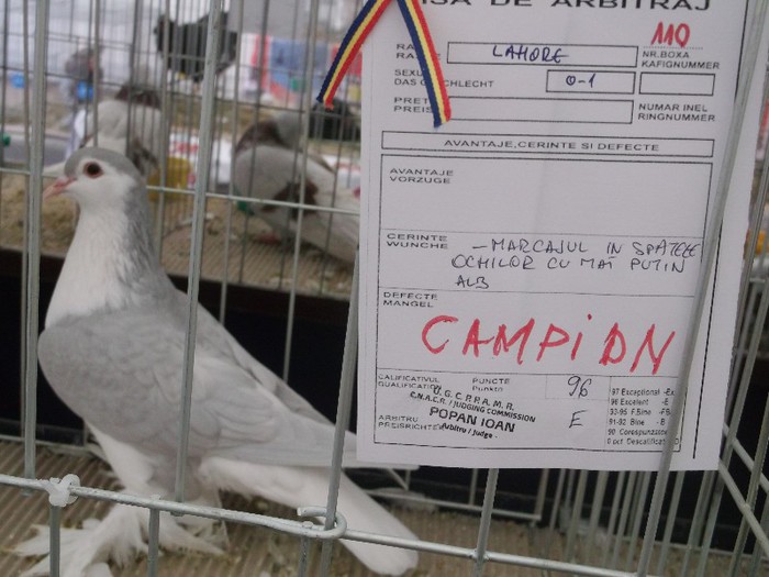 Picture 4942 - MEMORIALUL FILIP CRISTIAN 2012