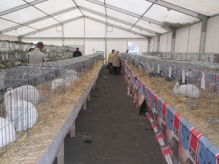 Picture 4968 - MEMORIALUL FILIP CRISTIAN 2012