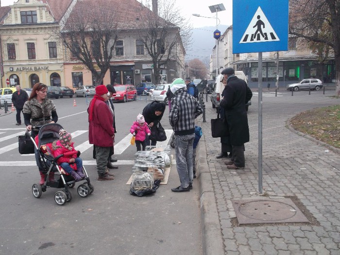 Picture 4971 - MEMORIALUL FILIP CRISTIAN 2012