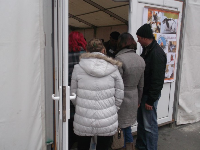 Picture 4972 - MEMORIALUL FILIP CRISTIAN 2012