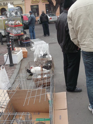 Picture 4997 - MEMORIALUL FILIP CRISTIAN 2012