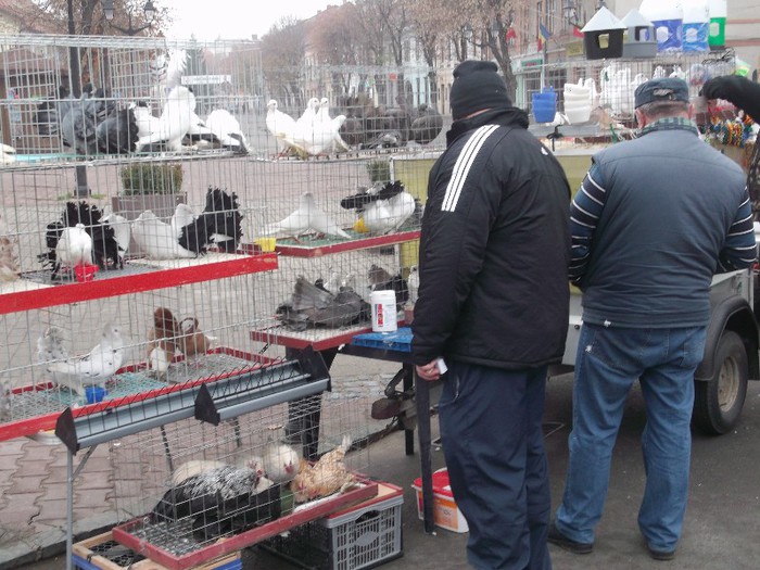 Picture 4998 - MEMORIALUL FILIP CRISTIAN 2012