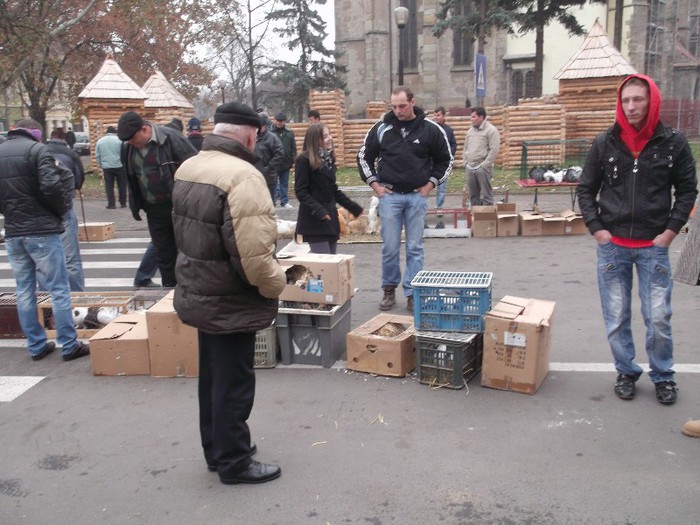 Picture 5016 - MEMORIALUL FILIP CRISTIAN 2012