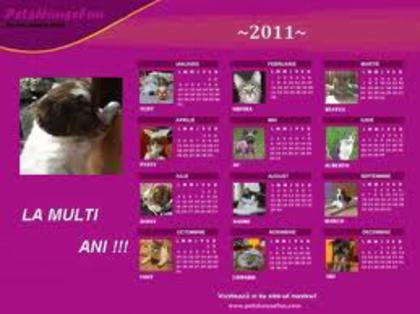 oana5 - Calendarul potrivit pentru tine