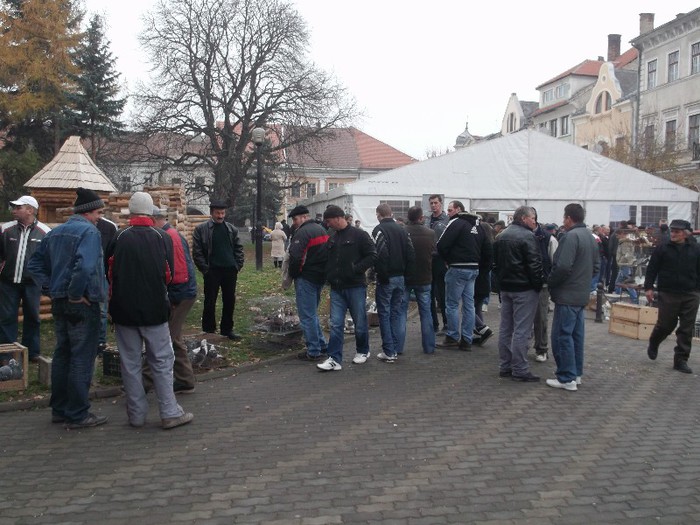 Picture 5032 - MEMORIALUL FILIP CRISTIAN 2012