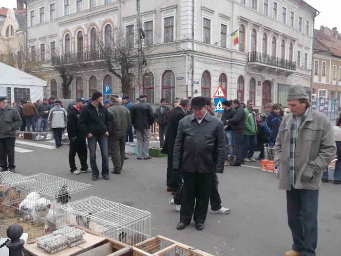 Picture 5034 - MEMORIALUL FILIP CRISTIAN 2012