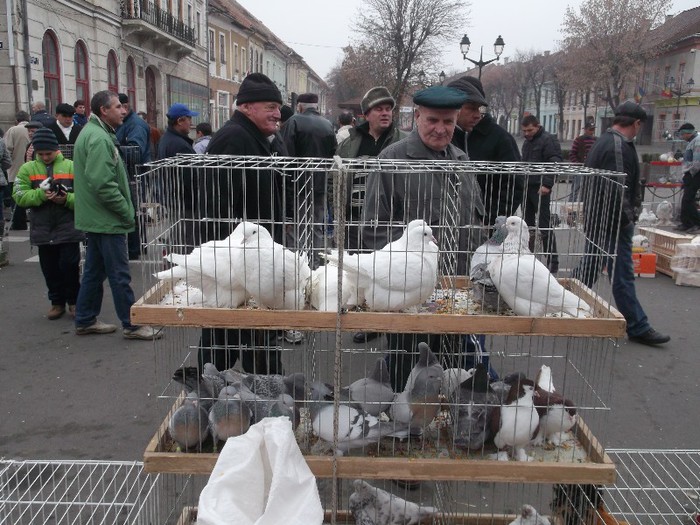 Picture 5036 - MEMORIALUL FILIP CRISTIAN 2012