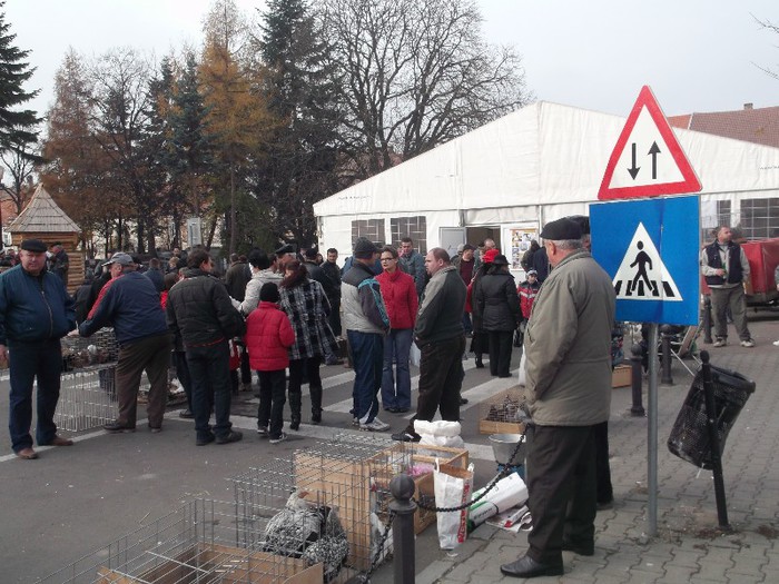 Picture 5052 - MEMORIALUL FILIP CRISTIAN 2012