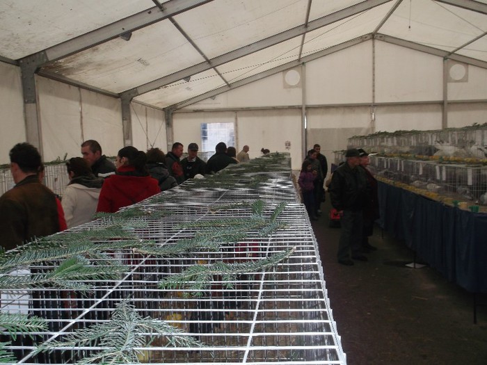 Picture 5054 - MEMORIALUL FILIP CRISTIAN 2012