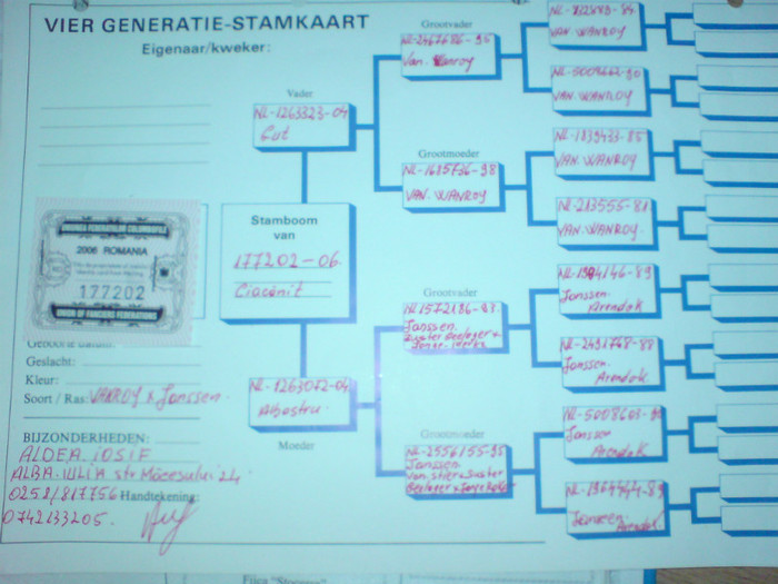 pedigree Aldea - vanzare-porumbei