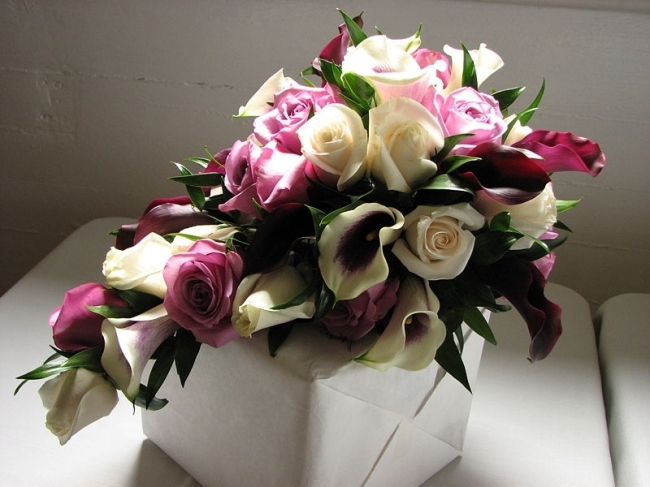 5113691 - For girls