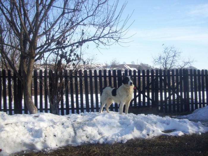 Picture 001
