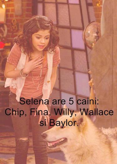 556733_317005418413165_70621182_n - Stiai ca