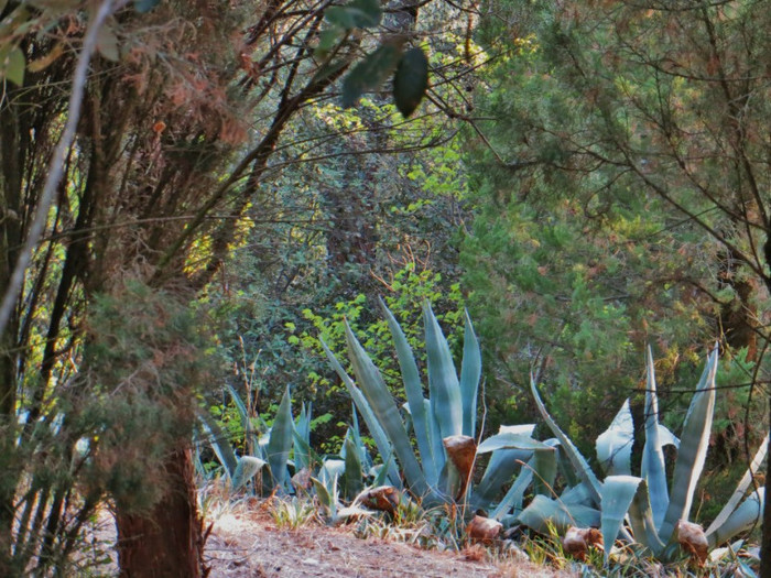 IN PARC"LA ROCA"
