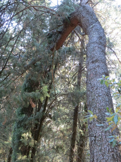 IN PARC"LA ROCA"