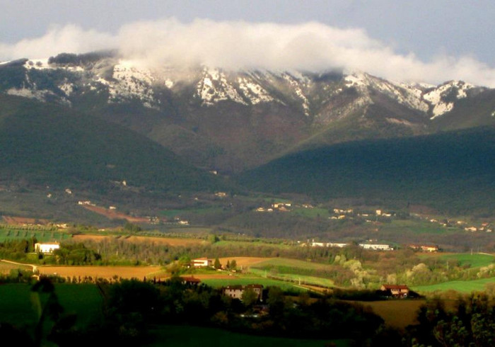 TODI