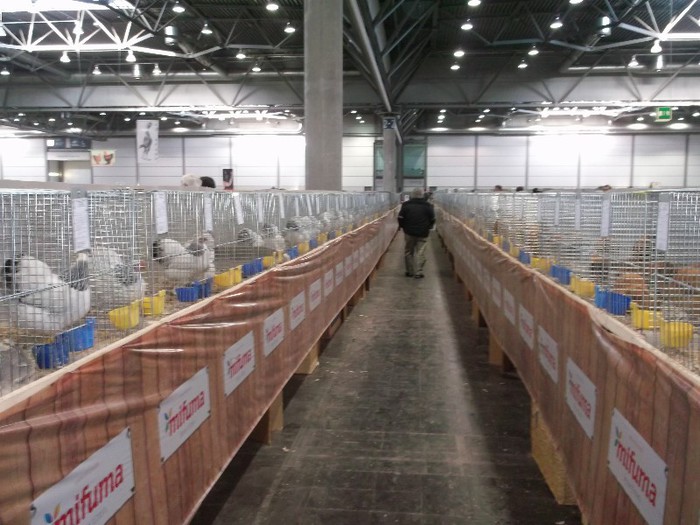 Picture 5307 - EXPOZITIE LEIPZIG 2012