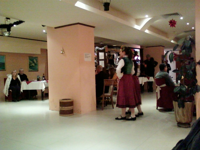 craciun 2012-poze dana 020
