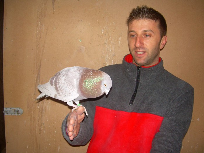 FEBLETEA CRESCATORIEI