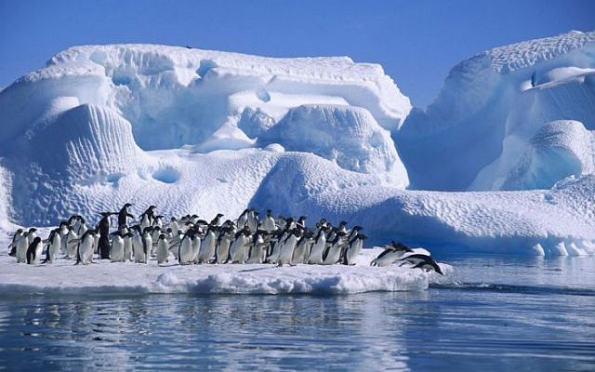 poze-superbe-cu-iceberguri-29 - Ceva frumos iarna