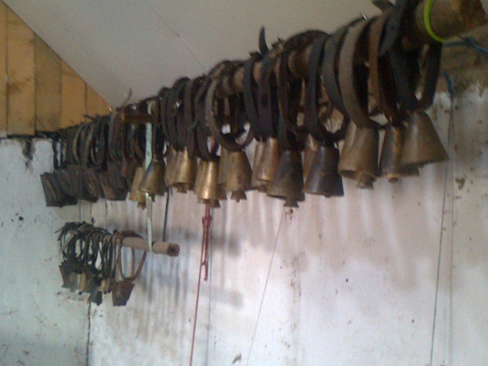 clopotele mele de pus pa oi