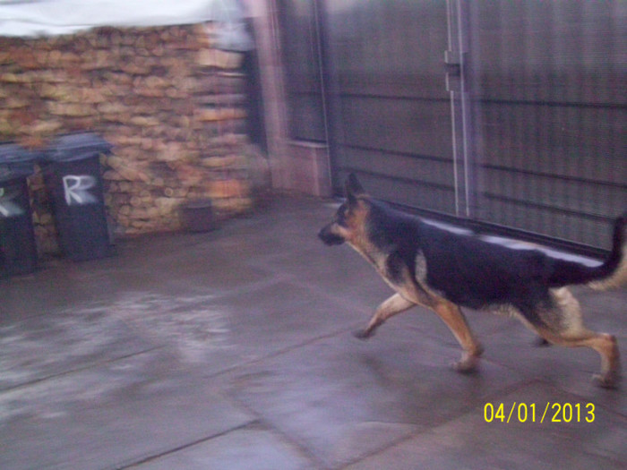 intampinarea musafirilor