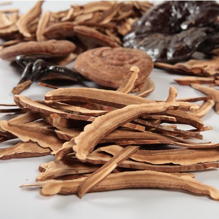 ganoderma ciuperci medicinale chinezestri uscate