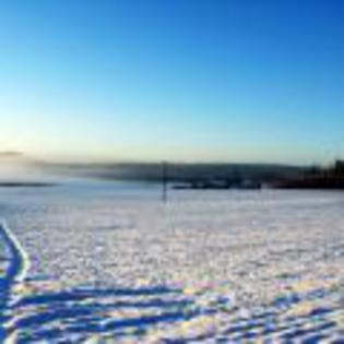 iarna_96_T