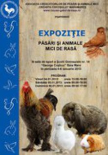 04.01.2013-06.01.2013 - EXPO 2013