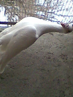 Imag010