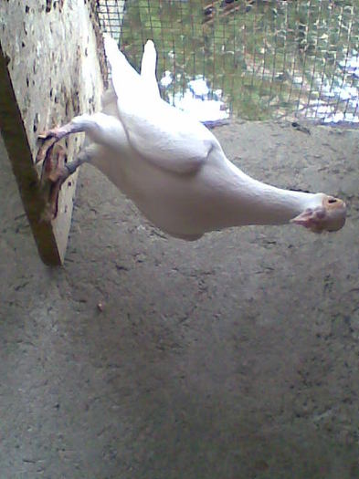 Imag012