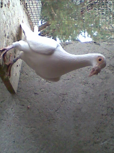 Imag013