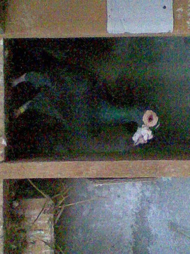 Imag031 - CARIERI DE VANZARE