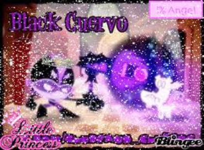 imagesCAWDZV65 - Black Cuervo