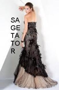 Sagetator