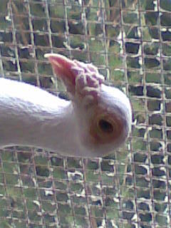 Imag014