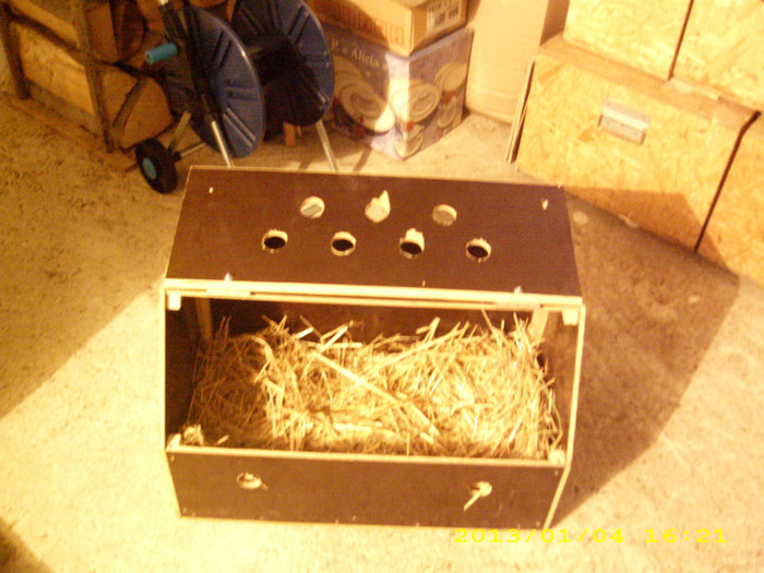 Cutie transport iepuri uriasi