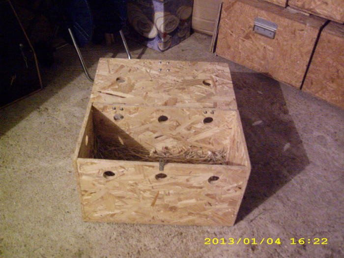 Cutie transport iepuri neozeelandezi