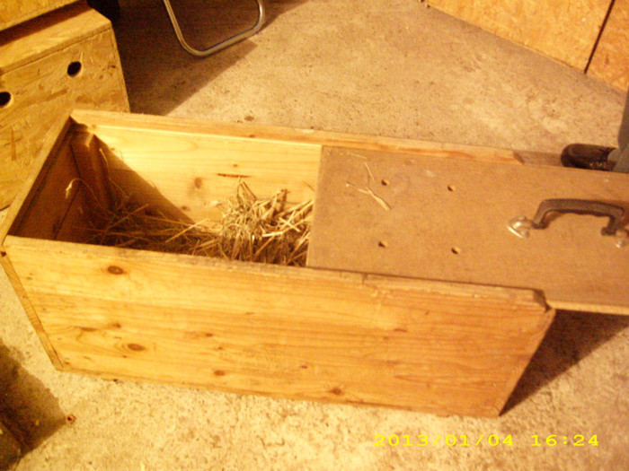 Cutie transport iepuri uriasi