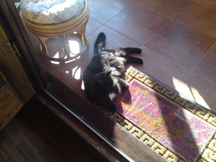 012; Nusu se incalzeste la soarele de ianuarie!
