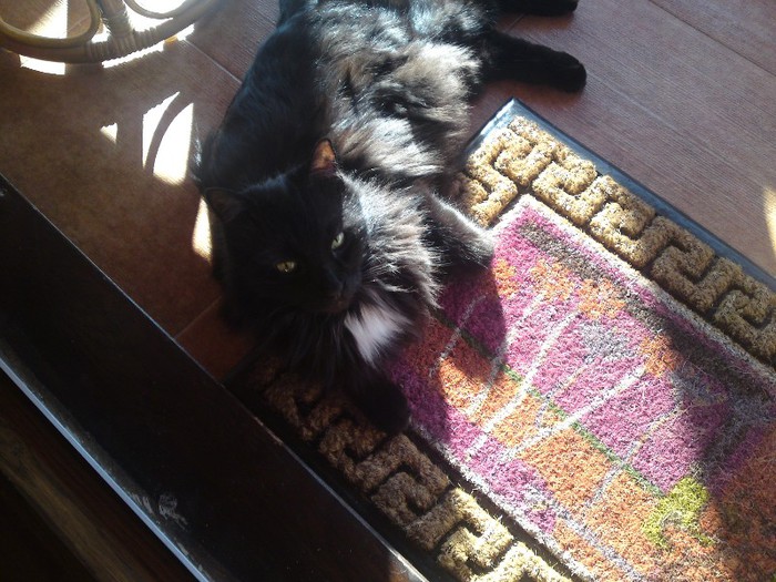 013; Nusu, pe stergatoare!
