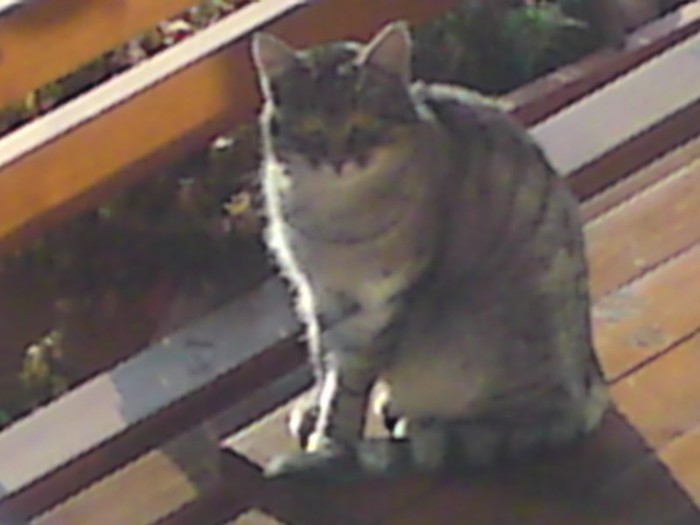 001; O matza venita in vizita!
